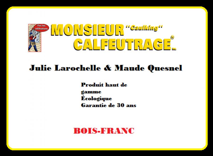 Julie Larochelle & Maude Quesnel ,CALFEUTRAGE BOIS-FRANC Logo